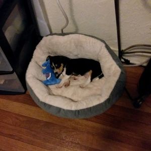 Meet your Posher, Cynthia